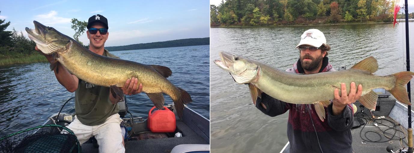 Muskie-Fishing-Moira-Lake-Madoc-Ontario